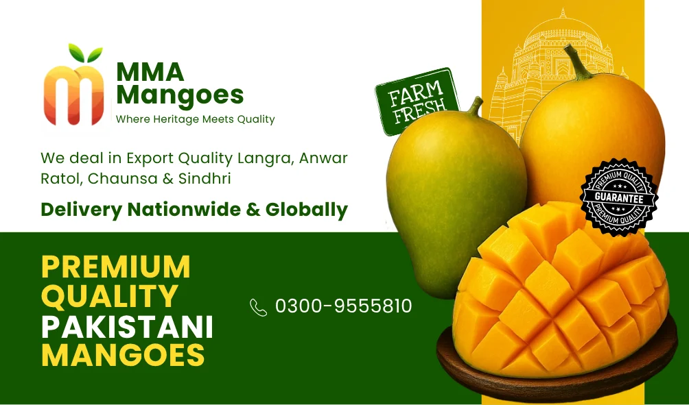 Premium Pakistani mangoes from MMA Farms — fresh Chaunsa, Sindhri, and Langra mangoes in premium packaging