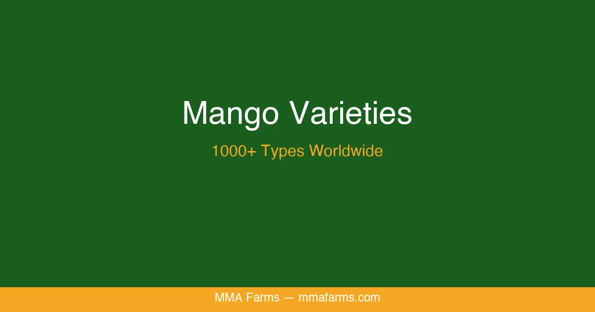 MMA Farms Mango Festival — Tastings, Activities & Variety Showcase