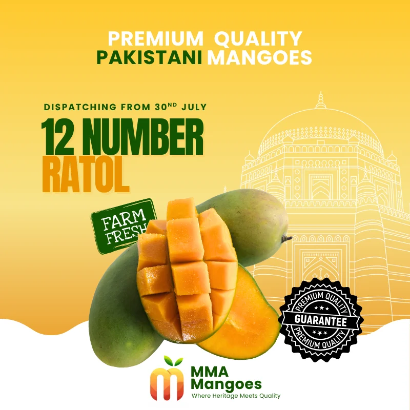 12 Number Ratol (بارہ نمبر رٹول) — Premium Pakistani Mango