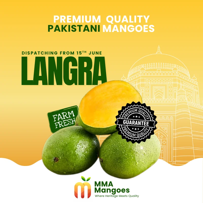 Langra (لنگڑا) — Premium Pakistani Mango