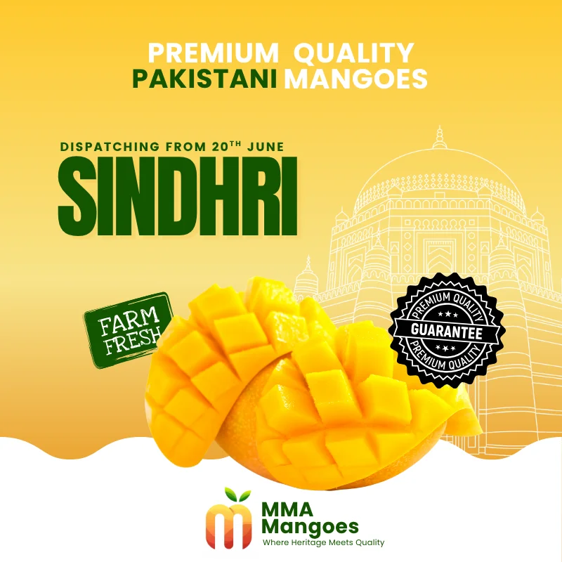 Sindhri (سندھری) — Premium Pakistani Mango